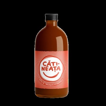 Nectar bio de catina, miere si ghimbir, 500 ml, Catineata 669759