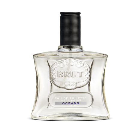 Apa de toaleta Ocean, 100 ml, Brut