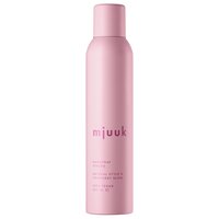 Spray fixativ cu fixare puternica, Strong, 250 ml, Mjuuk