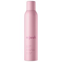 Spray fixativ cu fixare medie, Medium, 250 ml, Mjuuk