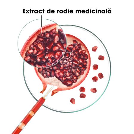 Sampon pentru par vopsit cu extract de rodie, 200 ml, Klorane 672140