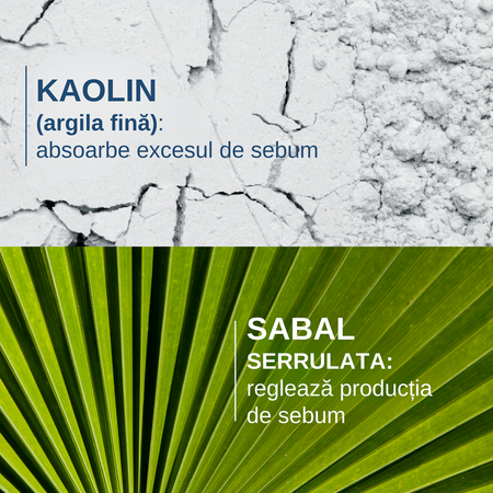 Sampon pentru reglarea sebumului Sabal Argeal, 200 ml, Ducray 671923