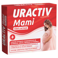 Uractiv mami fara lactoza, 21 capsule, Terapia