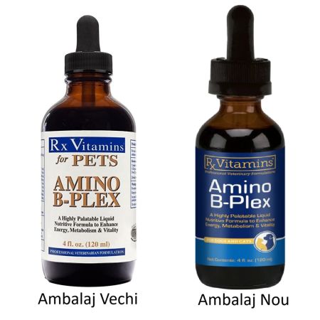 Amino B-Plex, 120 ml, RX Vitamins 683682