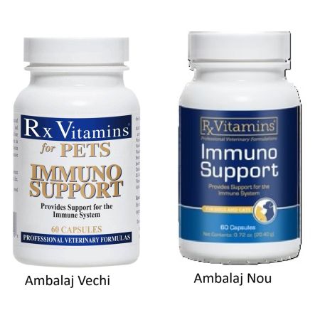 Immuno Support, 60 capsule, RX Vitamins 683700