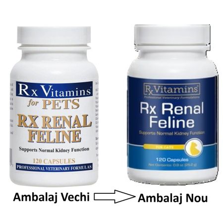 Renal Feline, 120 capsule, RX Vitamins 682786