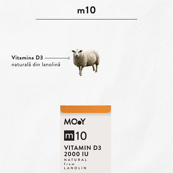 MOY Ingrediente