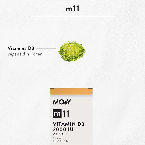 MOY Ingrediente