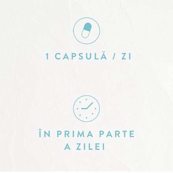 MOY Doza zilnica
