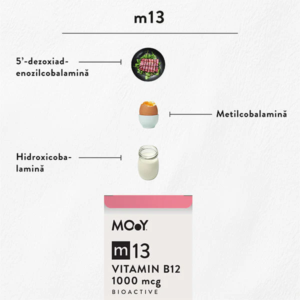 MOY Ingrediente