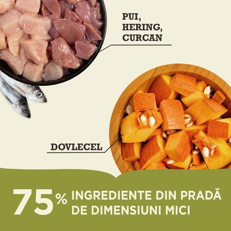 Hrana uscata cu pui si hering pentru pisici, 340 g, Acana 674839