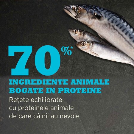 Hrana uscata cu peste pentru caini Pacifica, 2000 g, Acana 674846