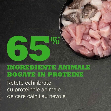 Hrana uscata pentru caini Senior Dog, 2000 g, Acana 674859