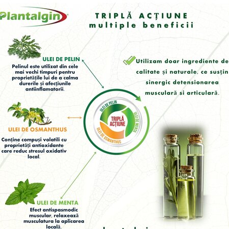 Plasturi cu Pelin pentru dureri lombare, 6 bucati, Plantalgin 674995