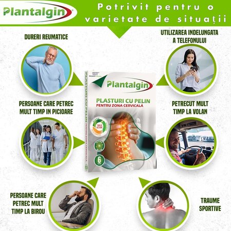 Plasturi cu Pelin pentru dureri lombare, 6 bucati, Plantalgin 674996