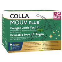 Colagen lichid tip II Collamouv Plus, 25 ml x 30 fiole, Deutsche Heilmittel GmbH