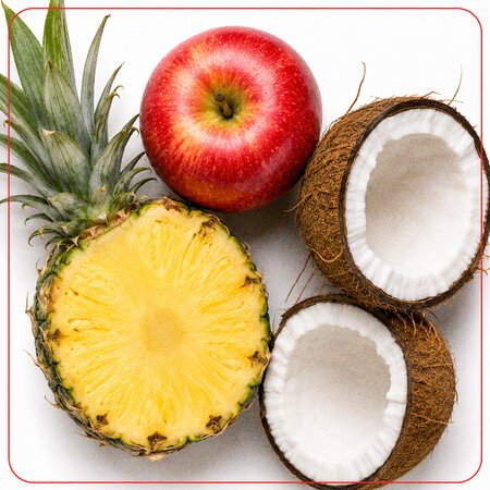 Piure pasteurizat cu mere, ananas si nuca de cocos Pina Famosa Mix, 180 g, Nutrino Lab 753847