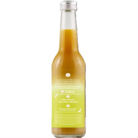 Suc de mango si mere, 100% natural presat la rece, 330 ml, GymBeer 677800