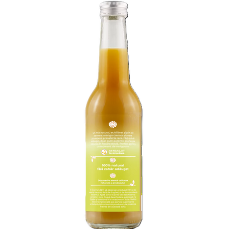 Suc de mango si mere, 100% natural presat la rece, 330 ml, GymBeer 677800