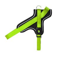 Ham verde pentru caini, Marimea S, 35 - 45 cm, 1 bucata, My Family Memopet