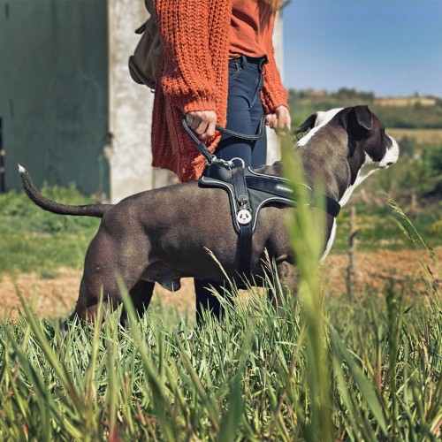 Ham negru pentru caini, Marimea M,