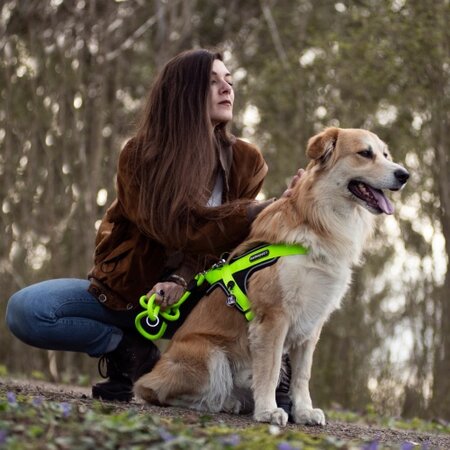 Ham verde pentru caini, Marimea XL, 70 - 90 cm, 1 bucata, My Family Memopet 681027