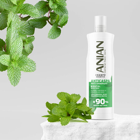 Sampon antimatreata cu mentol, 400 ml, Anian 683843