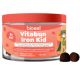 Jeleuri fructate cu fier Vitabun Iron Kid, 90 bucati, Bioeel 685171