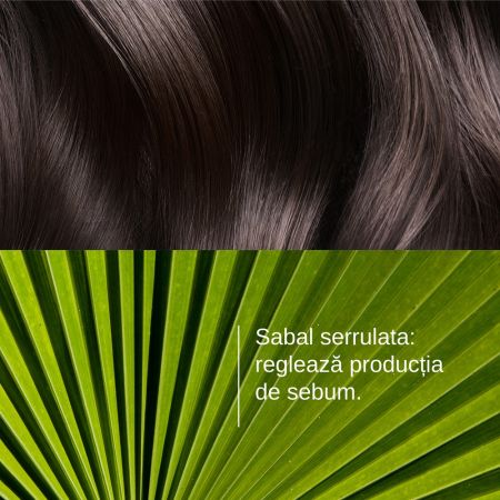 Sampon seboreglator pentru par gras Sabal, 200 ml, Ducray 685795