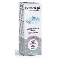 Spray hydrogel pentru ingrijirea ranilor Dermosept, 250 ml, Terapia SA