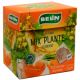Ceai cu mix de plante si ginseng, 20 plicuri, Belin 688295