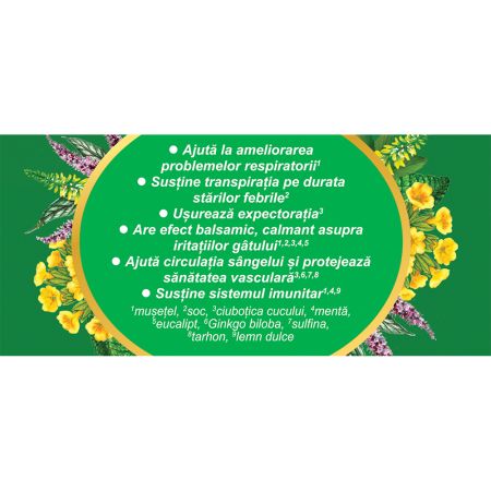 Ceai din plante medicinale Biosept Viroherb R59, 20 plicuri, Fares 701905