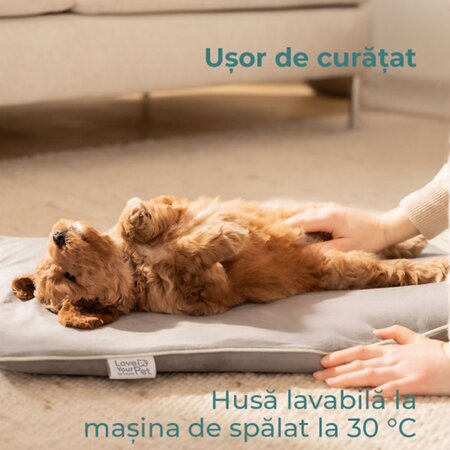 Perna electrica cu incalzire pentru caini si pisici PP 210 Love Your Pet, 1 bucata, Beurer 689609