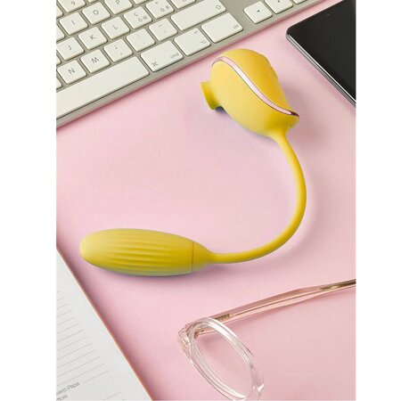 Vibrator cu functie de vaccum si ou vibrator Artemide, 1 bucata, Ammicco 690647