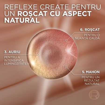 Vopsea de par fara amoniac Excellence Universal 5UR Roscat, 192 ml, Loreal 691006