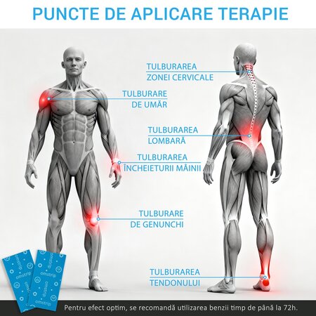 Benzi kinesiologice impotriva durerilor musculare Wellness, 2 bucati, Omstrip 691537