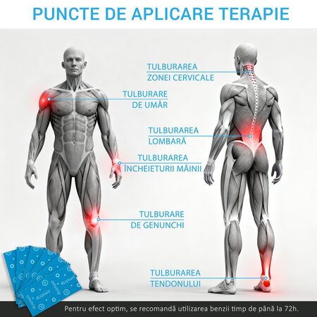 Benzi kinesiologice impotriva durerilor musculare Wellness, 6 bucati, Omstrip 691543