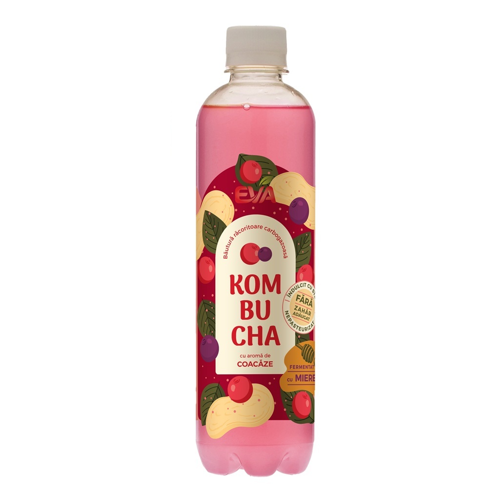 Bautura cu aroma de Coacaze Kombucha, 500 ml, Eva