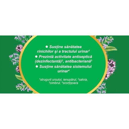 Ceai Biomicin Urinar, 20 plicuri, Fares 701757