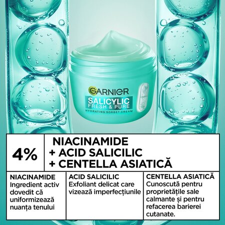 Crema hidratanta cu acid salicilic Salycilic Fresh & Pure, 85 ml, Garnier 697337