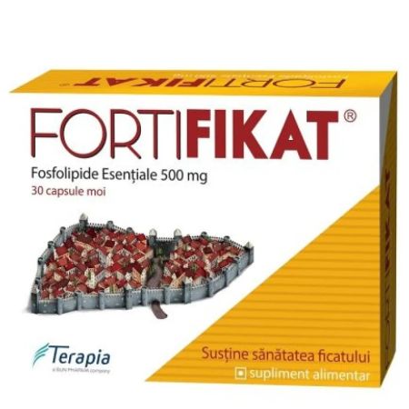 Fortifikat fosfolipide esentiale 540mg, 30 capsule, Terapia