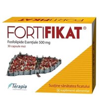 Fortifikat fosfolipide esentiale 540mg, 30 capsule, Terapia