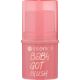 Fard de obraz 30 Rose all day, Baby Got Blush, 5.5 g, Essence 704055