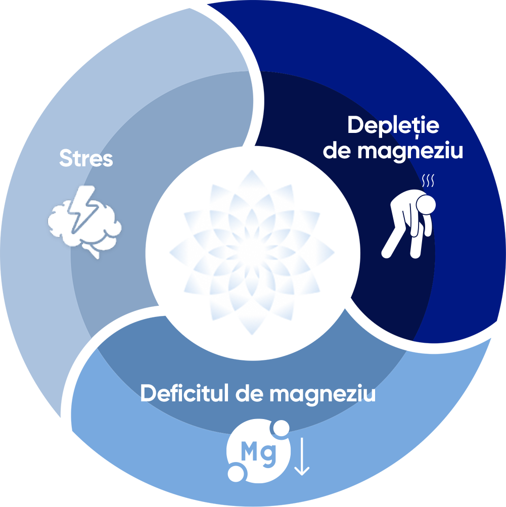Circle Diagram