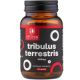 Tribulus Terrestris, 90 capsule, Aronia Charlottenburg 706101