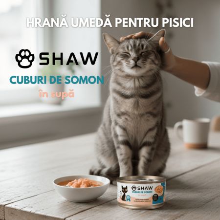 Hrana umeda cu somon cuburi in supa pentru pisici, 80 g, Shaw 706334