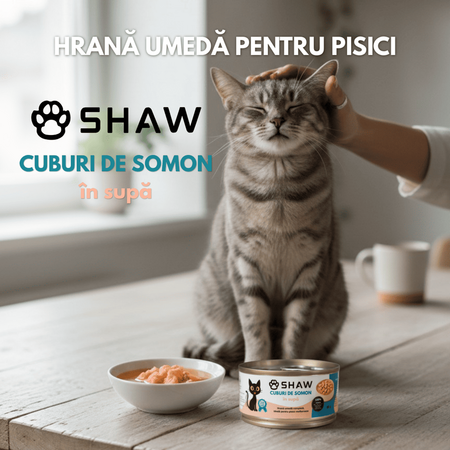 Hrana umeda cu somon cuburi in supa pentru pisici, 80 g, Shaw 706334