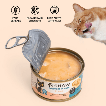 Hrana umeda cu somon cuburi in supa pentru pisici, 80 g, Shaw 706332