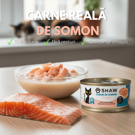 Hrana umeda cu somon cuburi in supa pentru pisici, 80 g, Shaw 706333