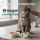Hrana umeda cu somon cuburi in supa pentru pisici, 80 g, Shaw 706334